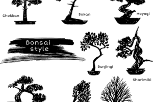 Bonsai Styles Tb
